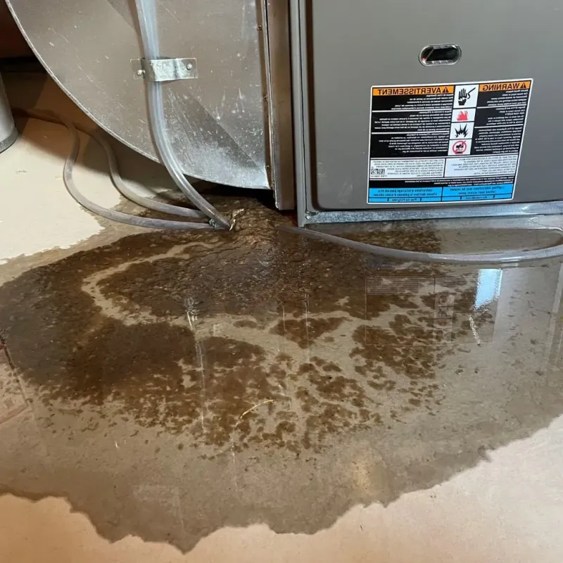 Pipe Burst and Leak Restoration in Belmont, VA