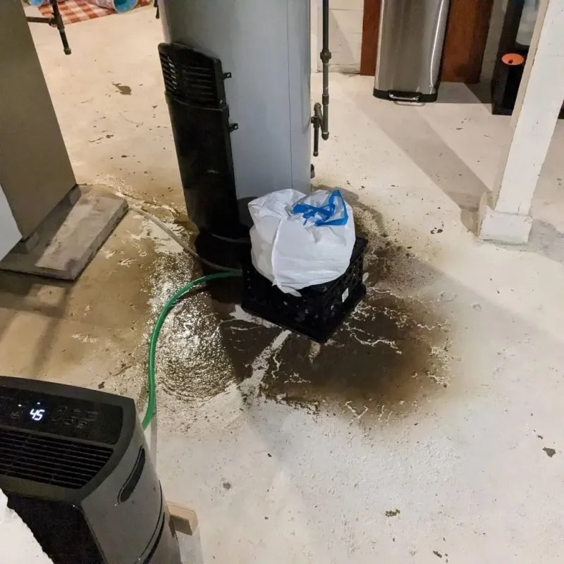 Sewage Backup Cleanup Service in Belmont, VA